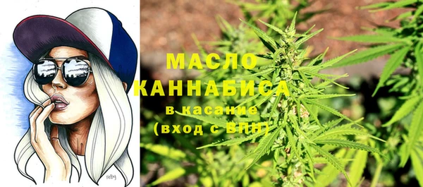 дживик Абаза