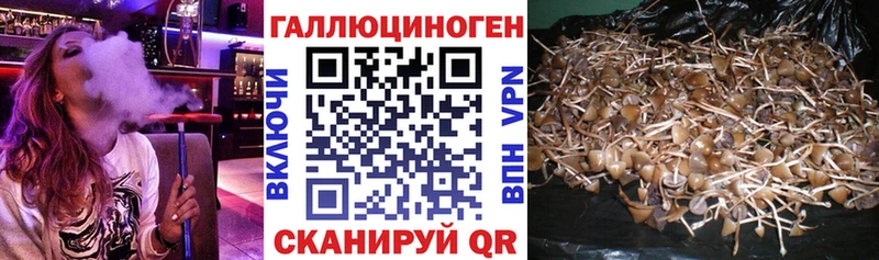 Псилоцибиновые грибы прущие грибы  наркошоп  Катайск 
